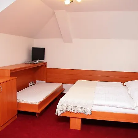 Bocheta بيت ضيافة Nový Jičín