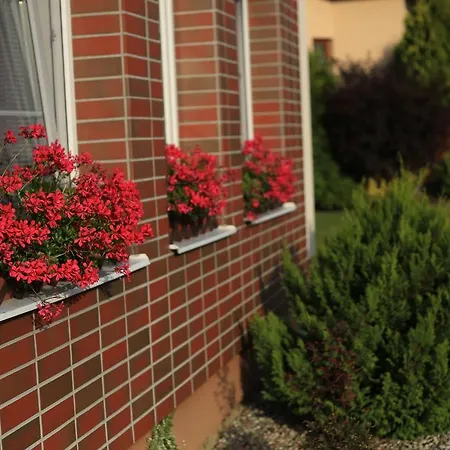 بيت ضيافة Bocheta