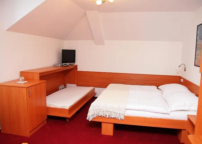 Bocheta Maison d'hôtes Nový Jičín