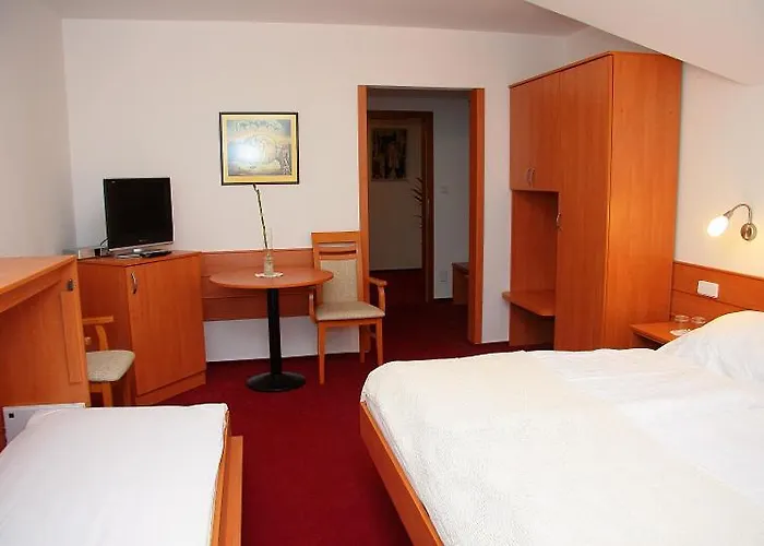 Bocheta Pensjonat 3*