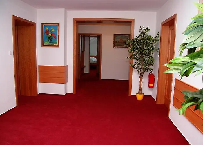 Bocheta Pensjonat Nový Jičín
