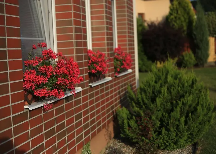 Maison d'hôtes Bocheta